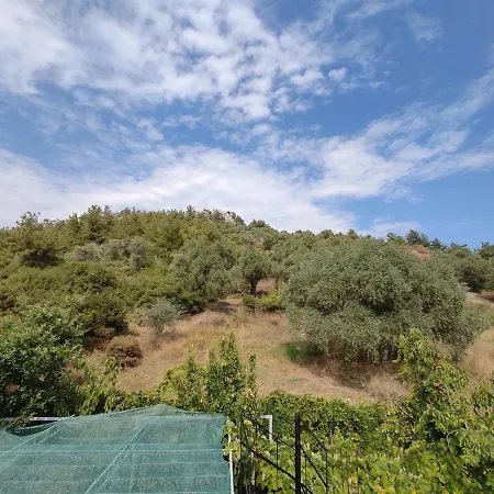 Elpida * Λιμένας